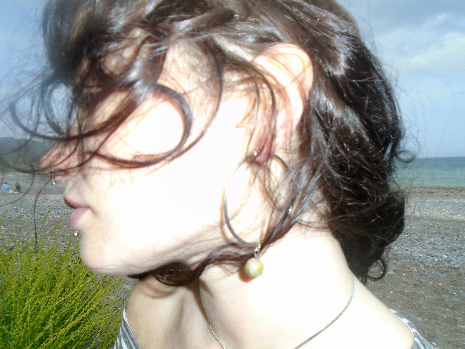 Pistil Hoops